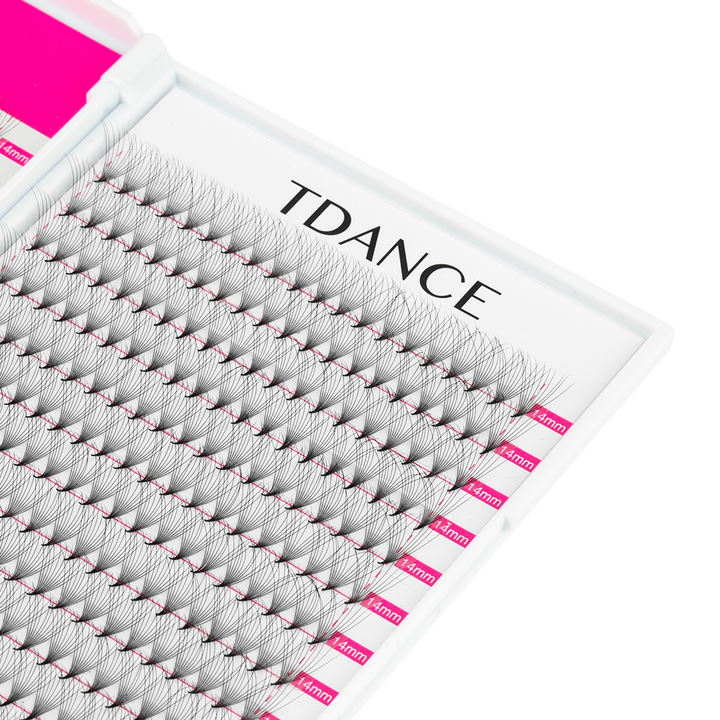 10D Promade Volume 500 Fans Lashbook TDANCE4