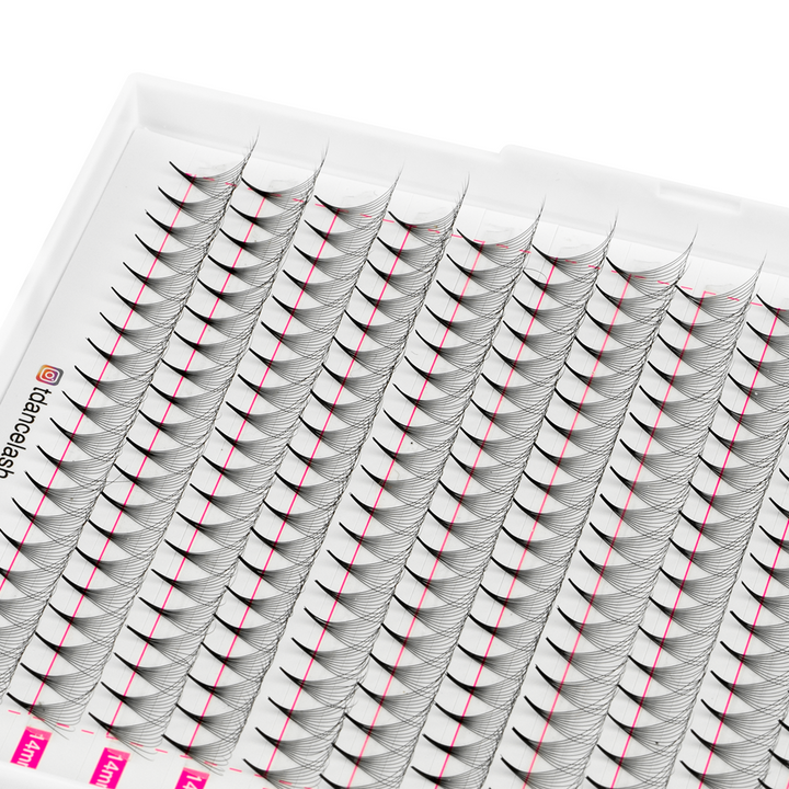 10D Promade Volume 500 Fans Lashbook TDANCE 2