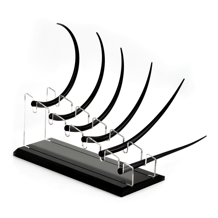 Eyelash Teaching Display Model- A2