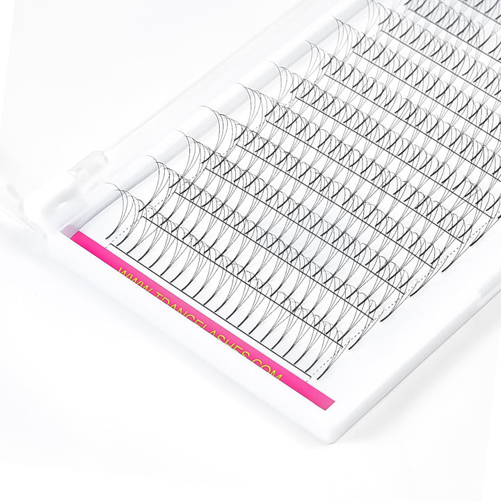 3D Premade Volume Fans Lashes  12 Rows (Long Stem) - TDANCE