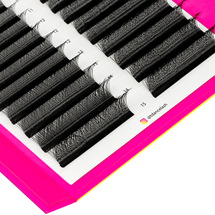 YY & W Style Promade Volume Fans Lashbook TDANCE 3