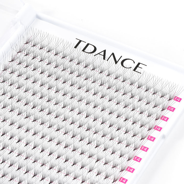8D Premade Volume Fans Eyelash Extensions 320 Fans 16 Rows (Pointy Base) - TDANCE