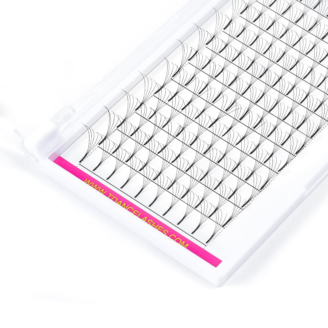 5D Premade Volume Fans Lashes 12 Rows (Long Stem) - TDANCE