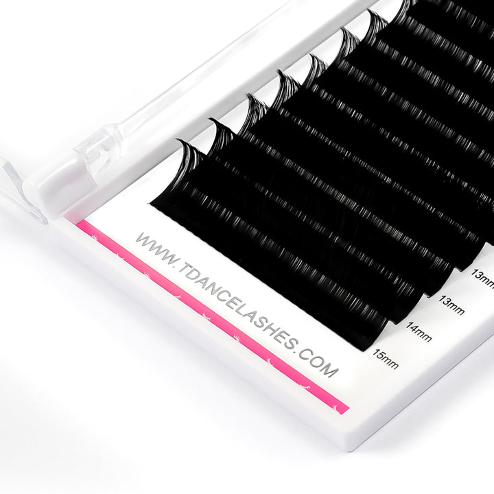 0.07mm Royal Sable Volume Eyelash Extensions(Super Black , Super Matte)