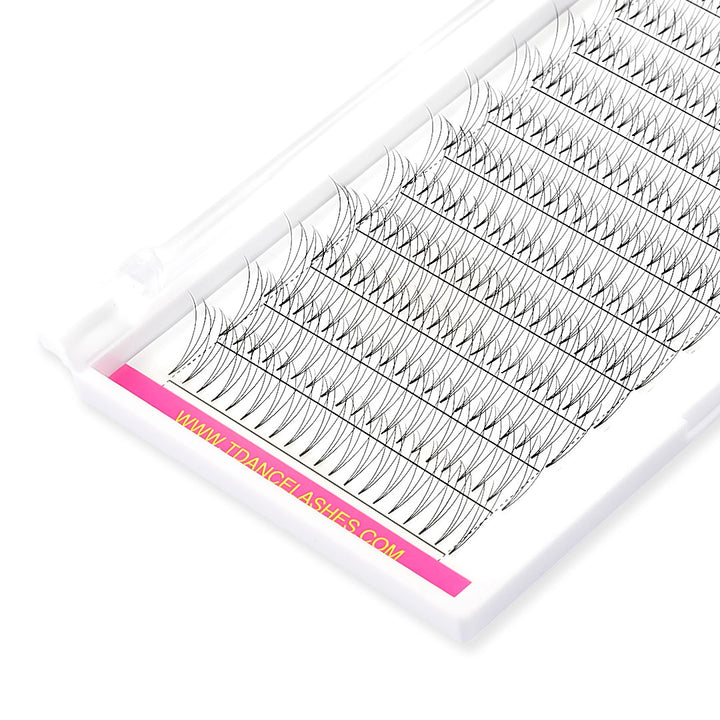3D Short Stem Premade Volume Fans Eyelash Extensions 12 Rows