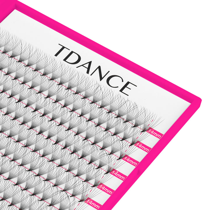 10D Promade Volume 500 Fans Lashbook TDANCE