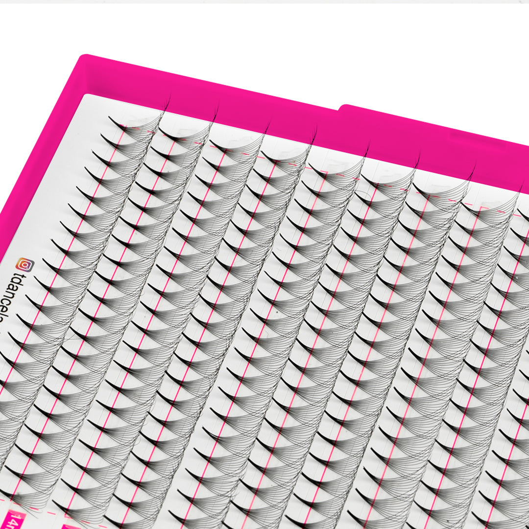 10D Promade Volume 500 Fans Lashbook TDANCE