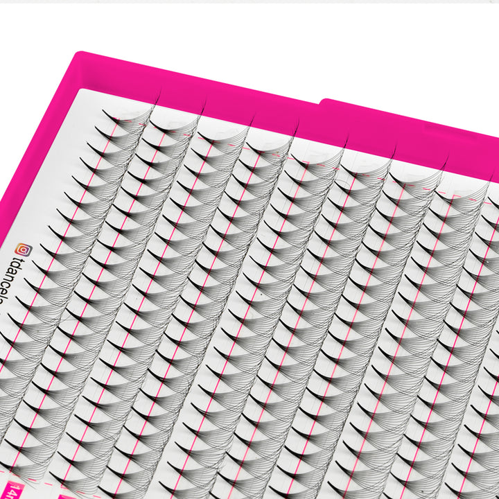 10D Promade Volume 500 Fans Lashbook TDANCE