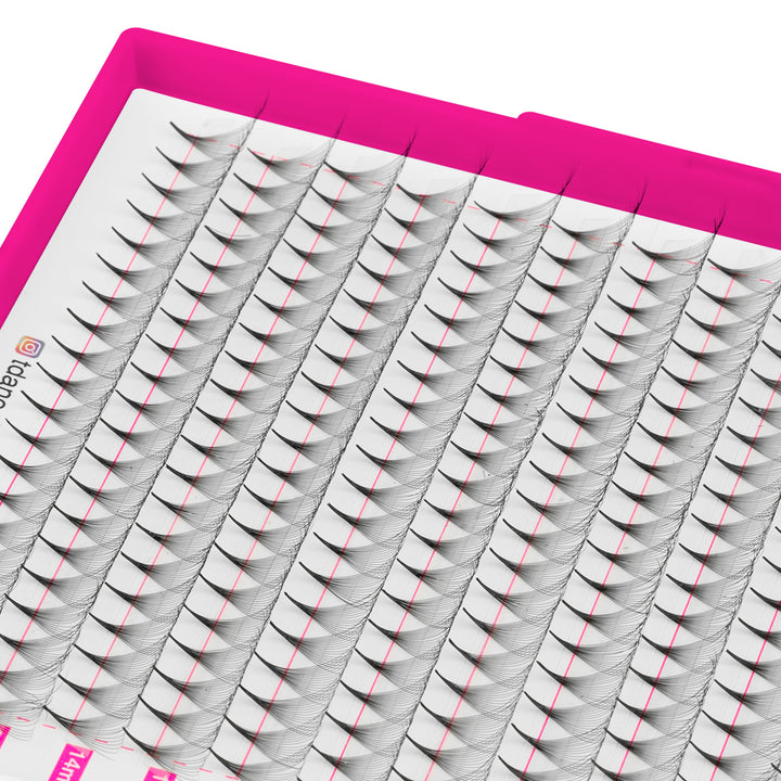 16D Promade Volume 500 Fans Lashbook TDANCE