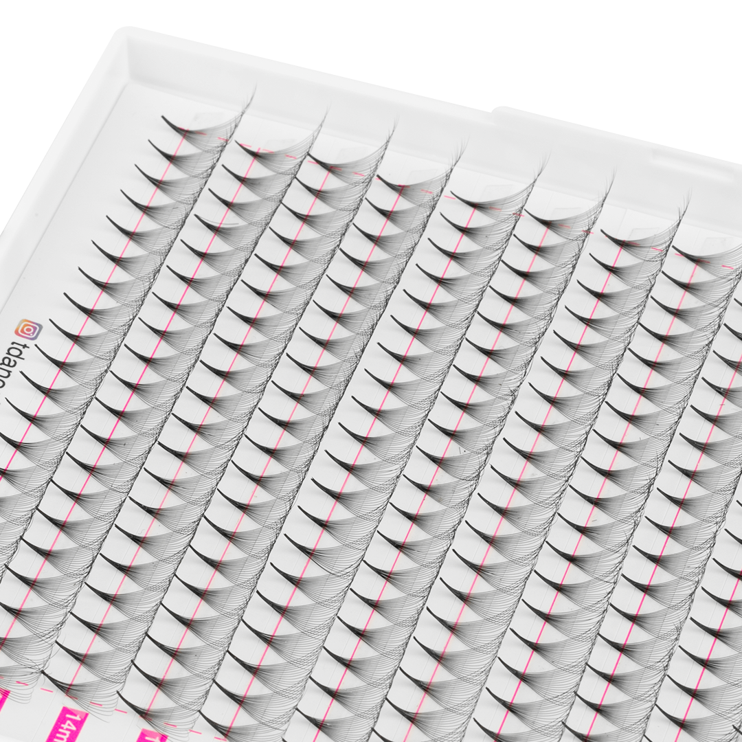 16D Promade Volume 500 Fans Lashbook TDANCE 3
