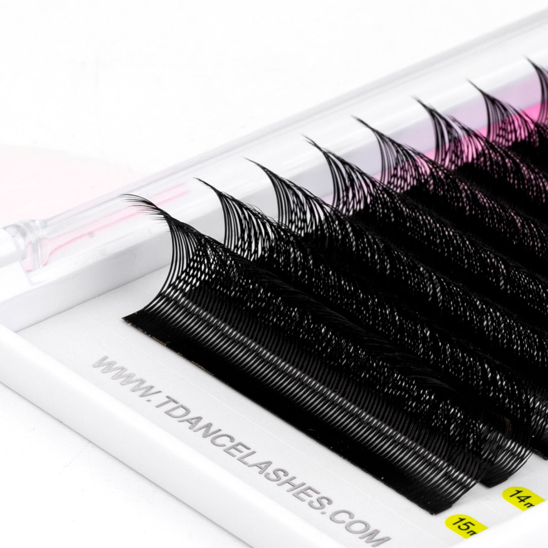 0.07MM Foxy YY Volume Lashes TDANCE