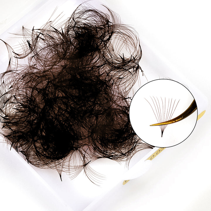 10D Colored Dark Brown Premade Volume Loose Fans(500 Fans) USA1