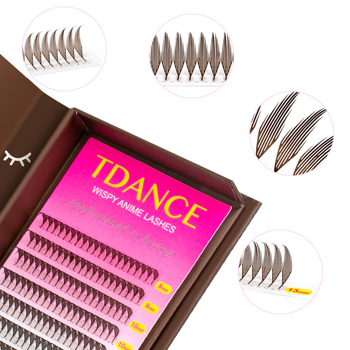 TDANCE 12 Rows 0.07MM Dark Brown Wispy Anime Lashes