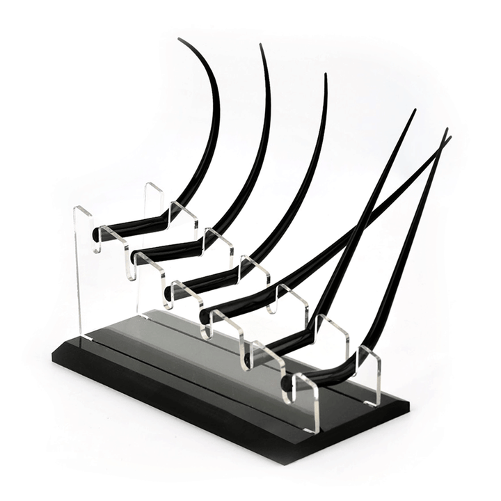 Eyelash Teaching Display Model- B2