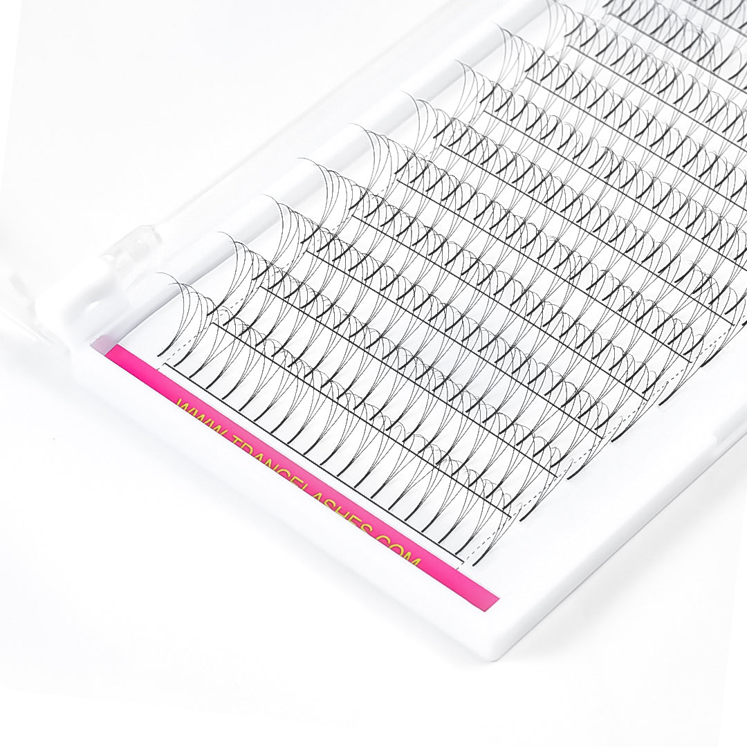 3D Premade Volume Fans Lashes  12 Rows (Long Stem) - TDANCE