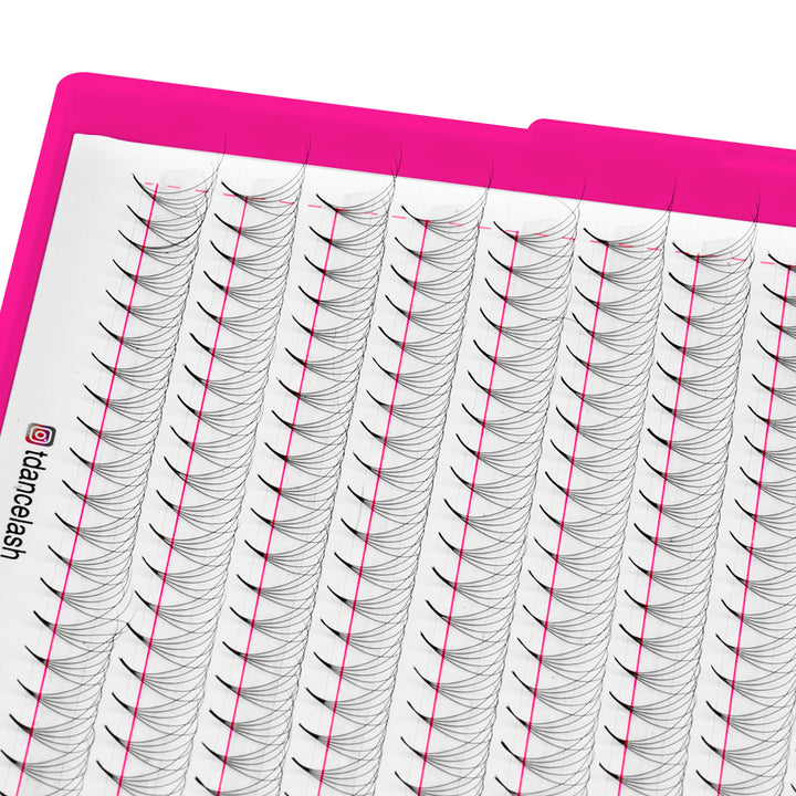 5D Promade Volume 500 Fans Lashbook TDANCE 