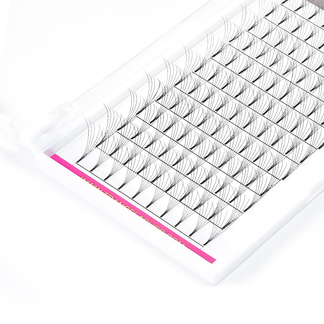 6D Premade Volume Fans Lashes 12 Rows (Long Stem) - TDANCE