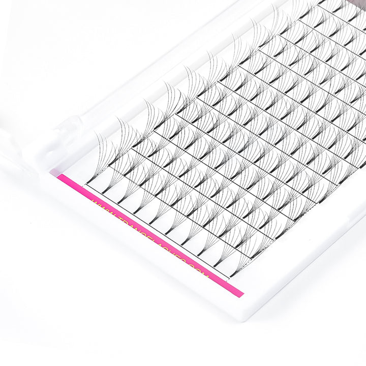 6D Premade Volume Fans Lashes 12 Rows (Long Stem) - TDANCE