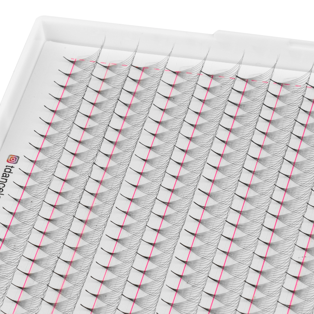 8D Promade Volume 500 Fans Lashbook 2